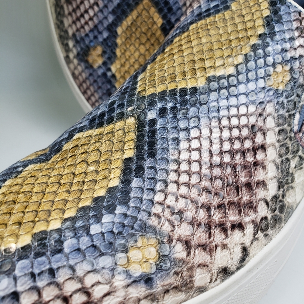 Steve Madden Sneaker Python Snake Print Skater Lo… - image 8